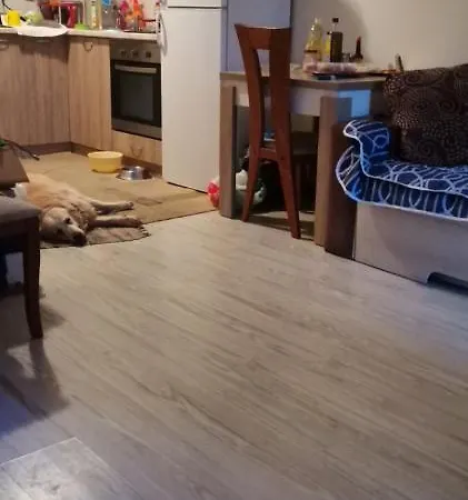 Vip Zone Апартамент